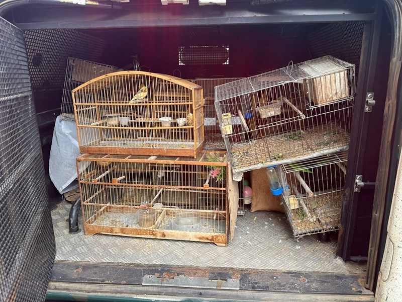 Foto: Reprodução/Polícia Militar - ES