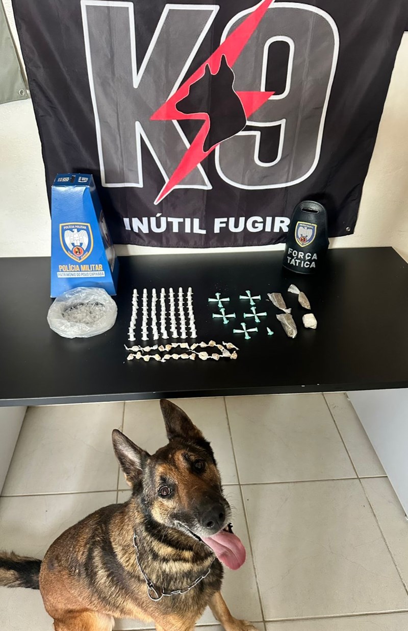 Foto: Reprodução/Polícia Militar - ES