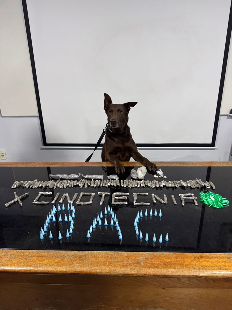 Foto: Reprodução/Polícia Militar - ES