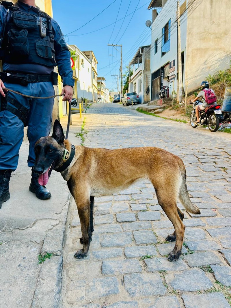 Foto: Reprodução/Polícia Militar - ES