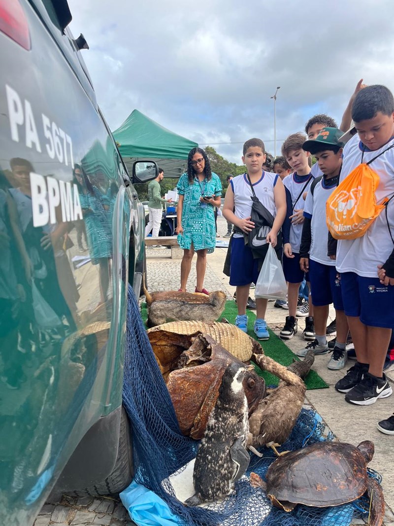 Foto: Reprodução/Polícia Militar - ES