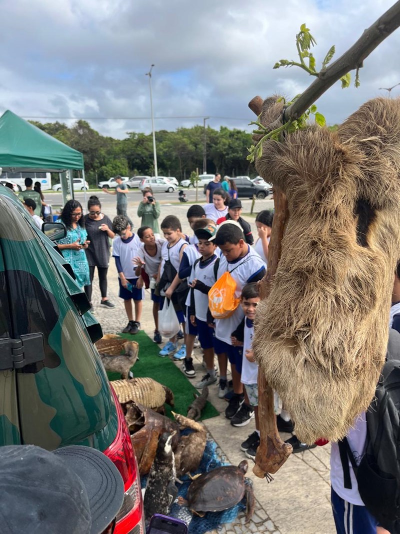 Foto: Reprodução/Polícia Militar - ES