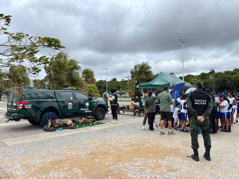 Foto: Reprodução/Polícia Militar - ES