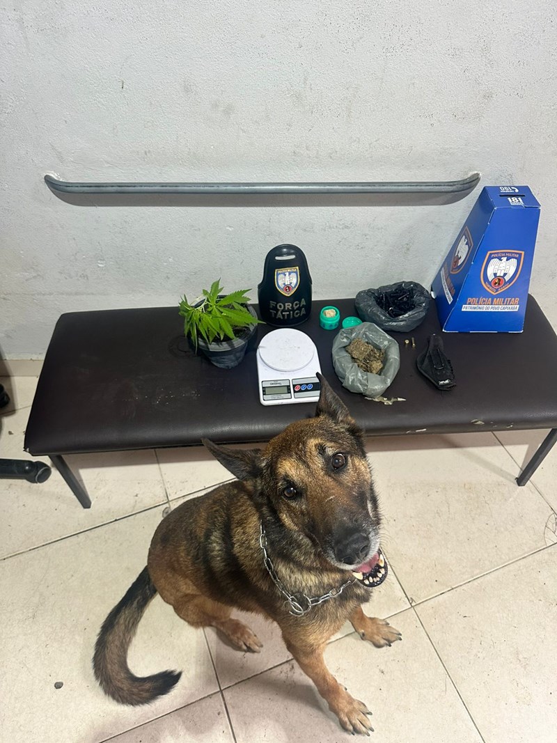 Foto: Reprodução/Polícia Militar - ES