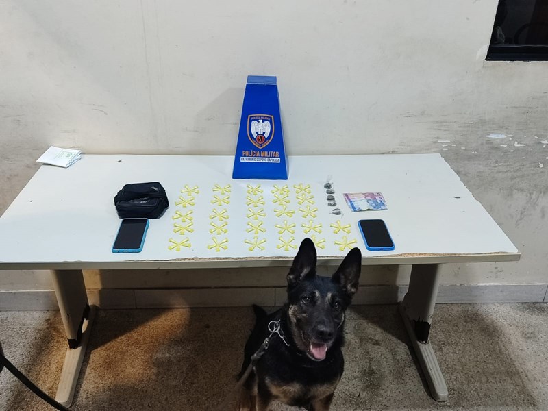 Foto: Reprodução/Polícia Militar - ES