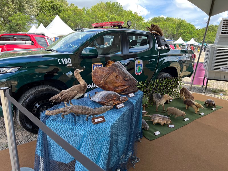 Foto: Reprodução/Polícia Militar - ES