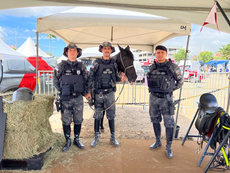 Foto: Reprodução/Polícia Militar - ES