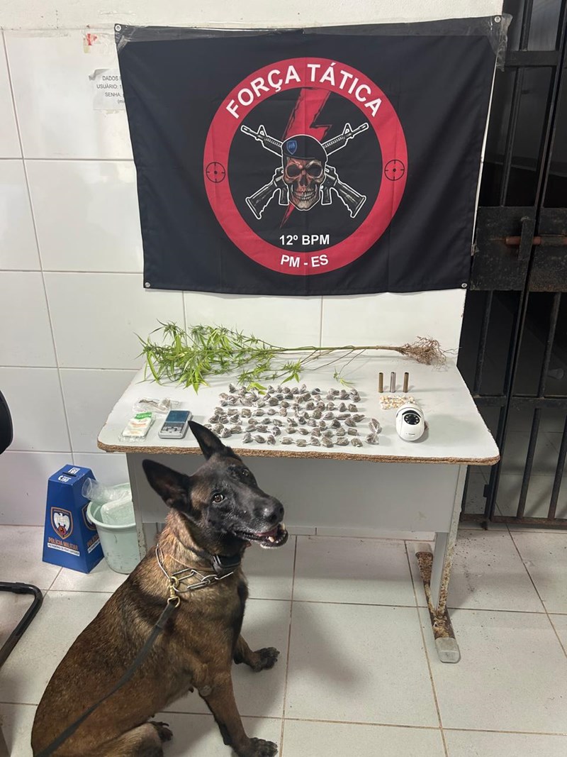 Foto: Reprodução/Polícia Militar - ES