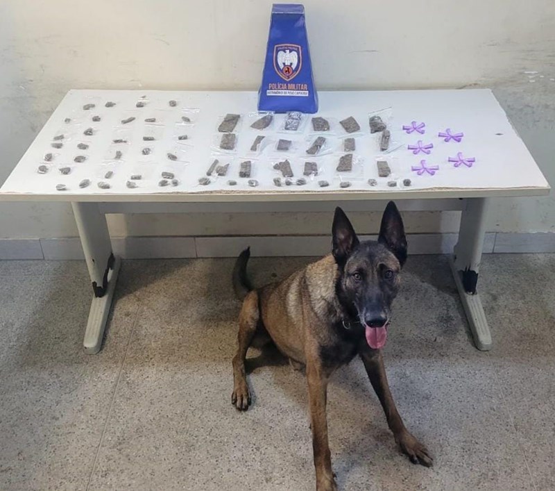 Foto: Reprodução/Polícia Militar - ES