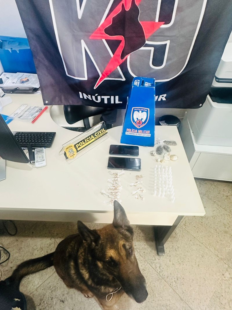 Foto: Reprodução/Polícia Militar - ES