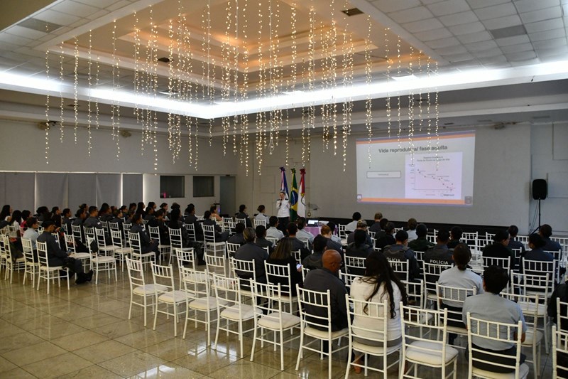 Foto: Reprodução/Polícia Militar - ES