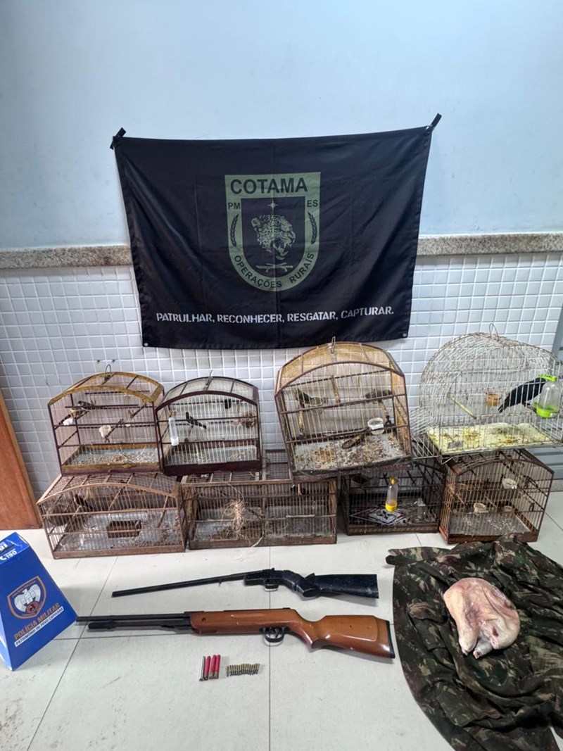 Foto: Reprodução/Polícia Militar - ES