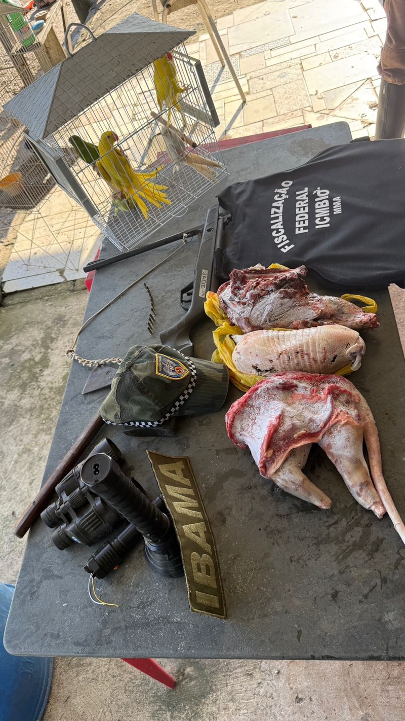 Foto: Reprodução/Polícia Militar - ES