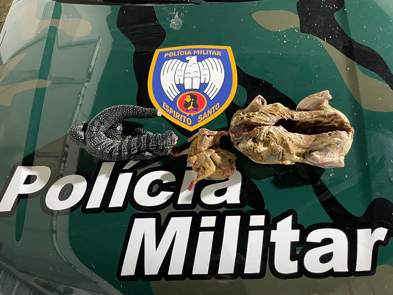 Foto: Reprodução/Polícia Militar - ES