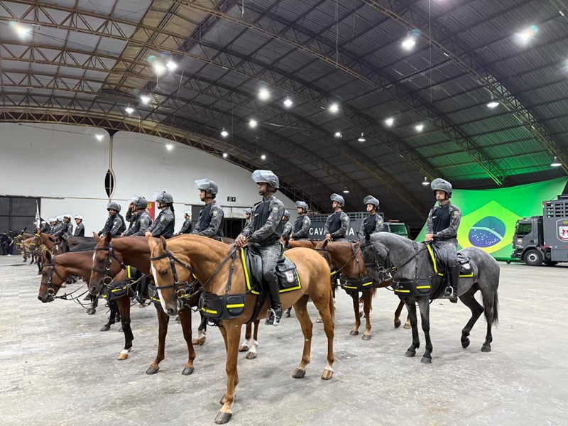 Foto: Reprodução/Polícia Militar - ES