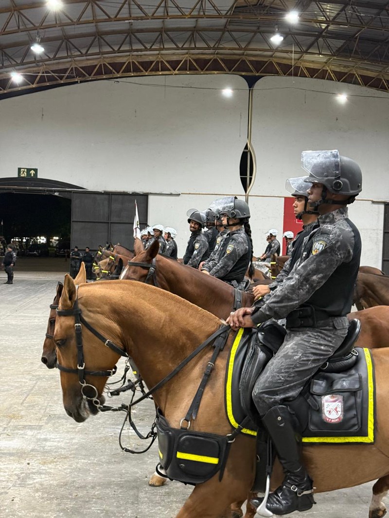 Foto: Reprodução/Polícia Militar - ES