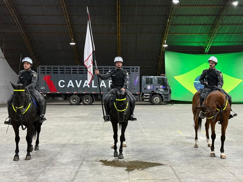 Foto: Reprodução/Polícia Militar - ES