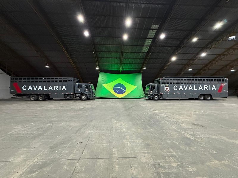 Foto: Reprodução/Polícia Militar - ES