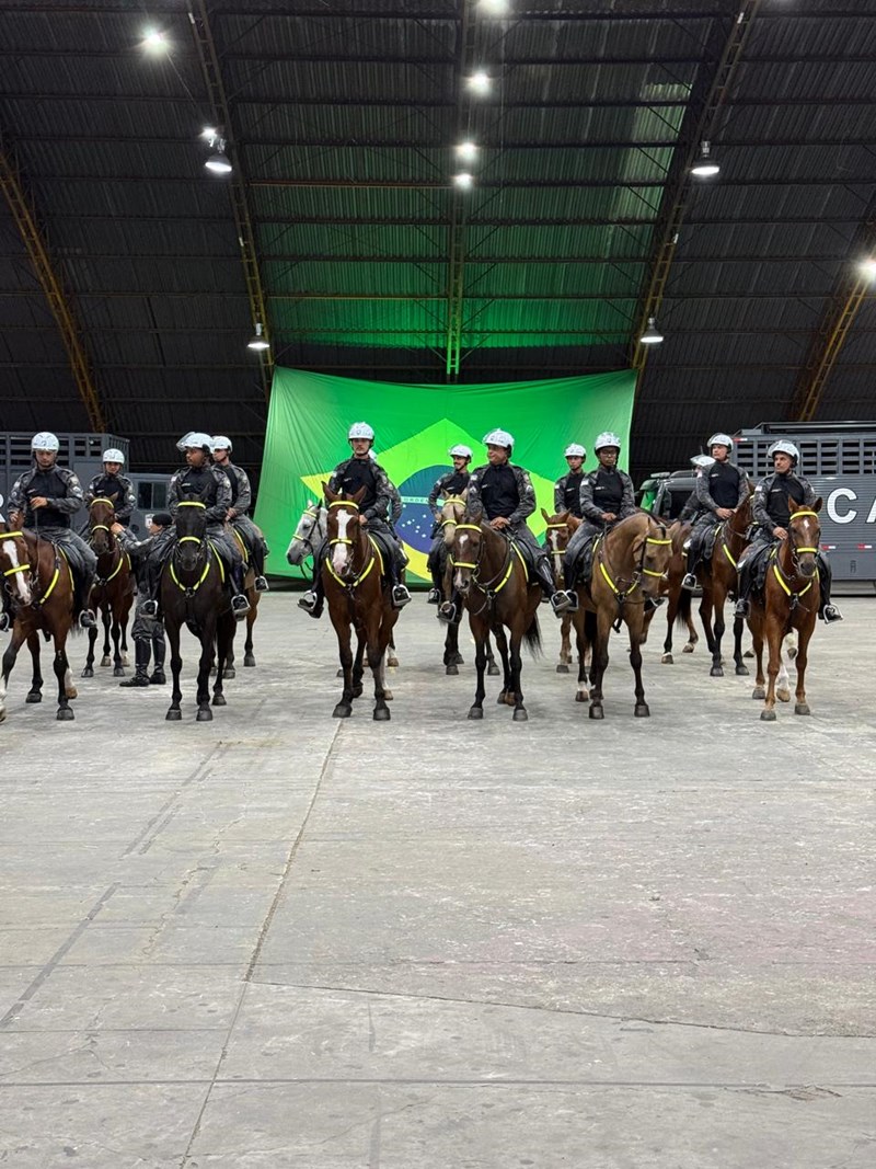 Foto: Reprodução/Polícia Militar - ES