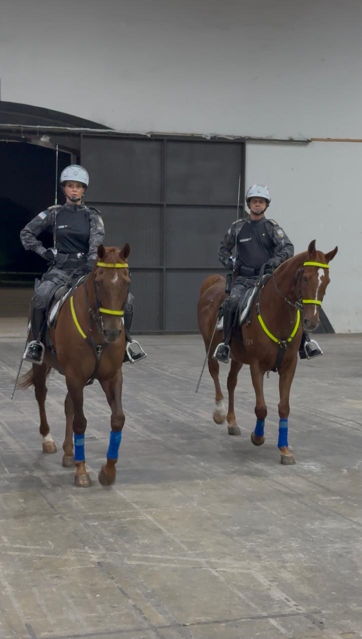 Foto: Reprodução/Polícia Militar - ES