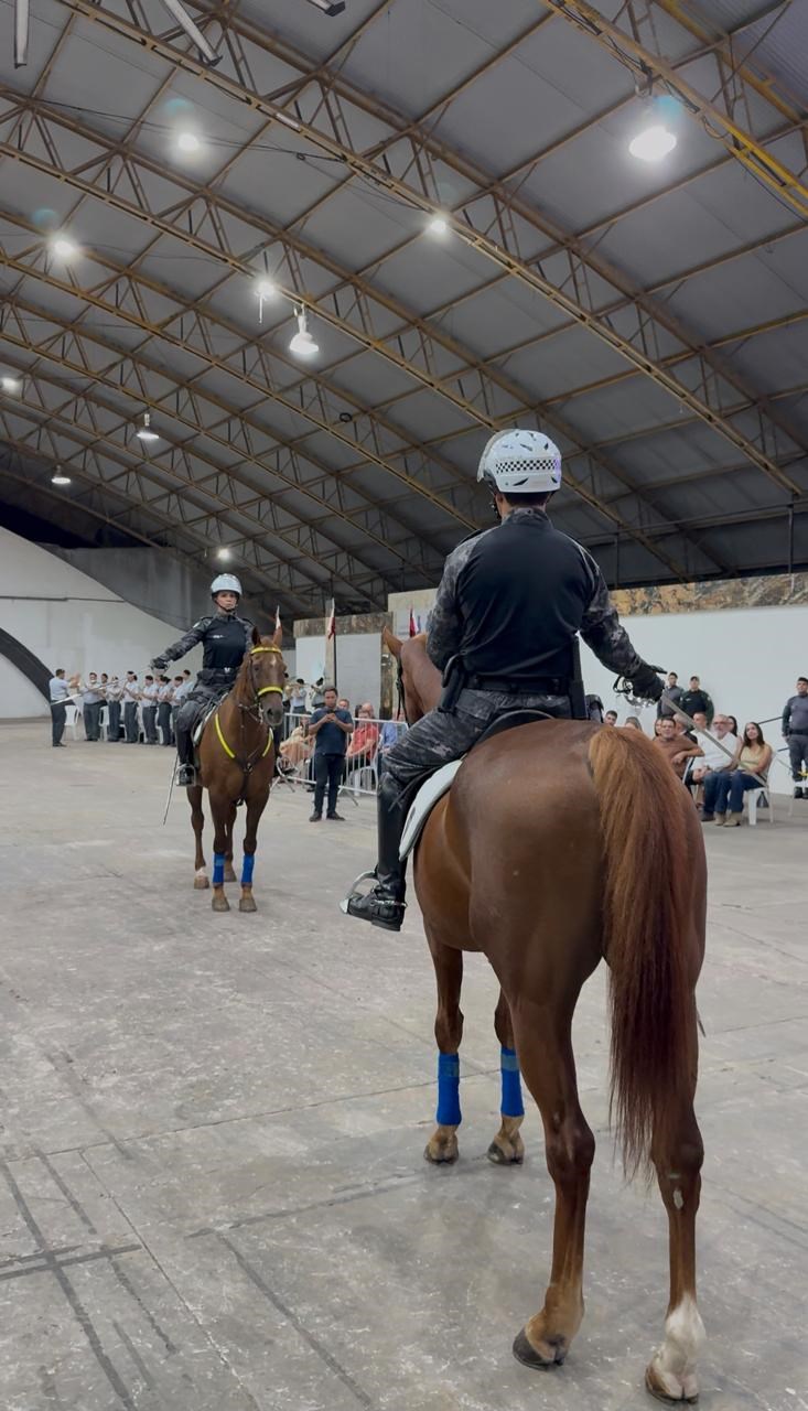 Foto: Reprodução/Polícia Militar - ES