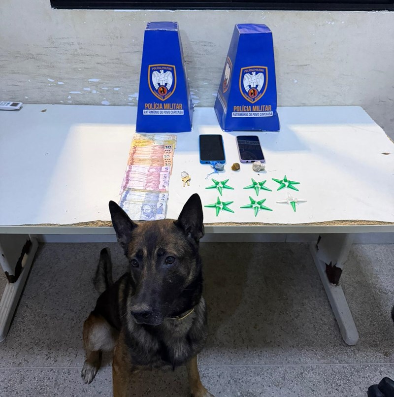 Foto: Reprodução/Polícia Militar - ES