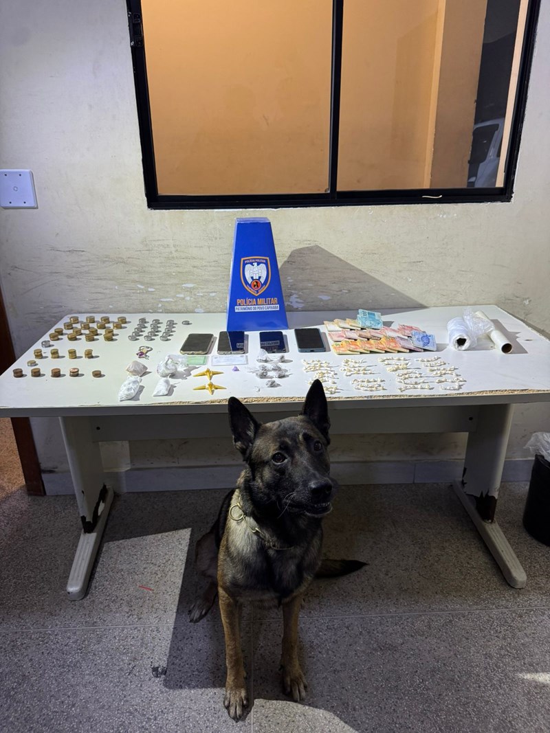 Foto: Reprodução/Polícia Militar - ES