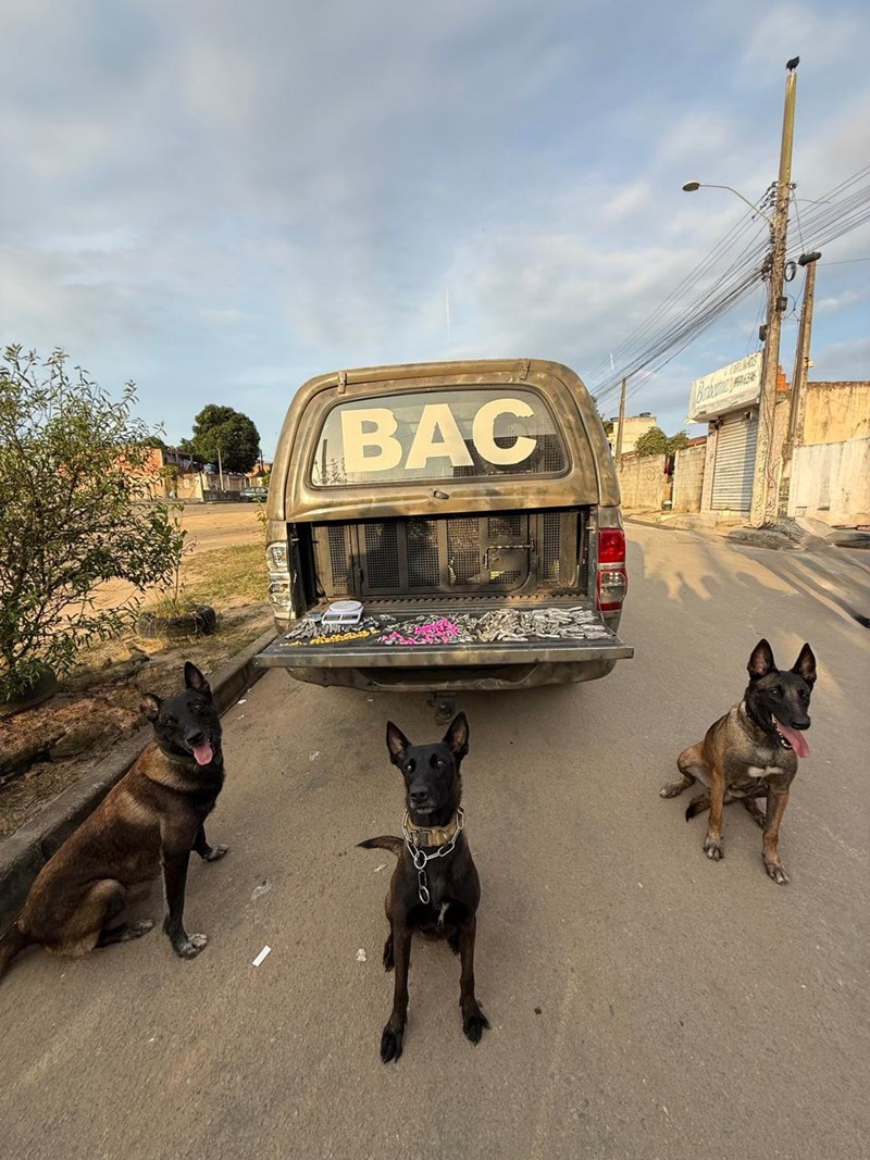 Foto: Reprodução/Polícia Militar - ES