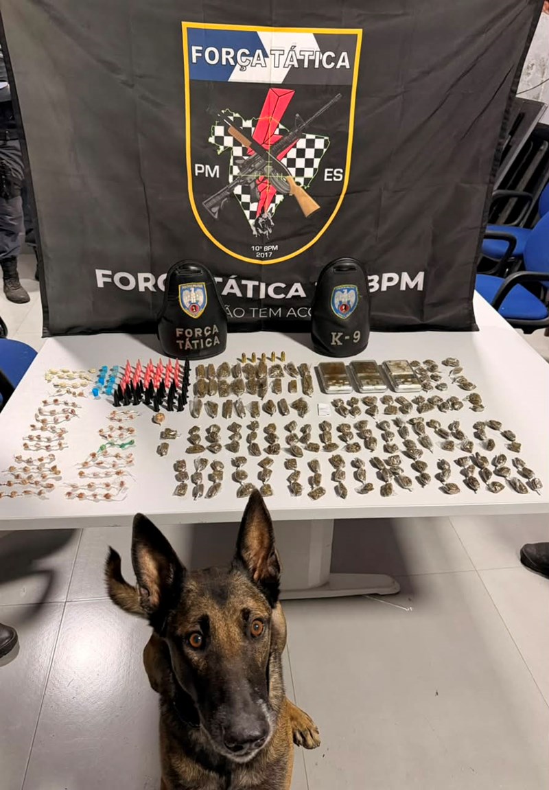 Foto: Reprodução/Polícia Militar - ES