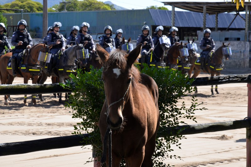 PMES - PMES celebra o Dia da Arma de Cavalaria