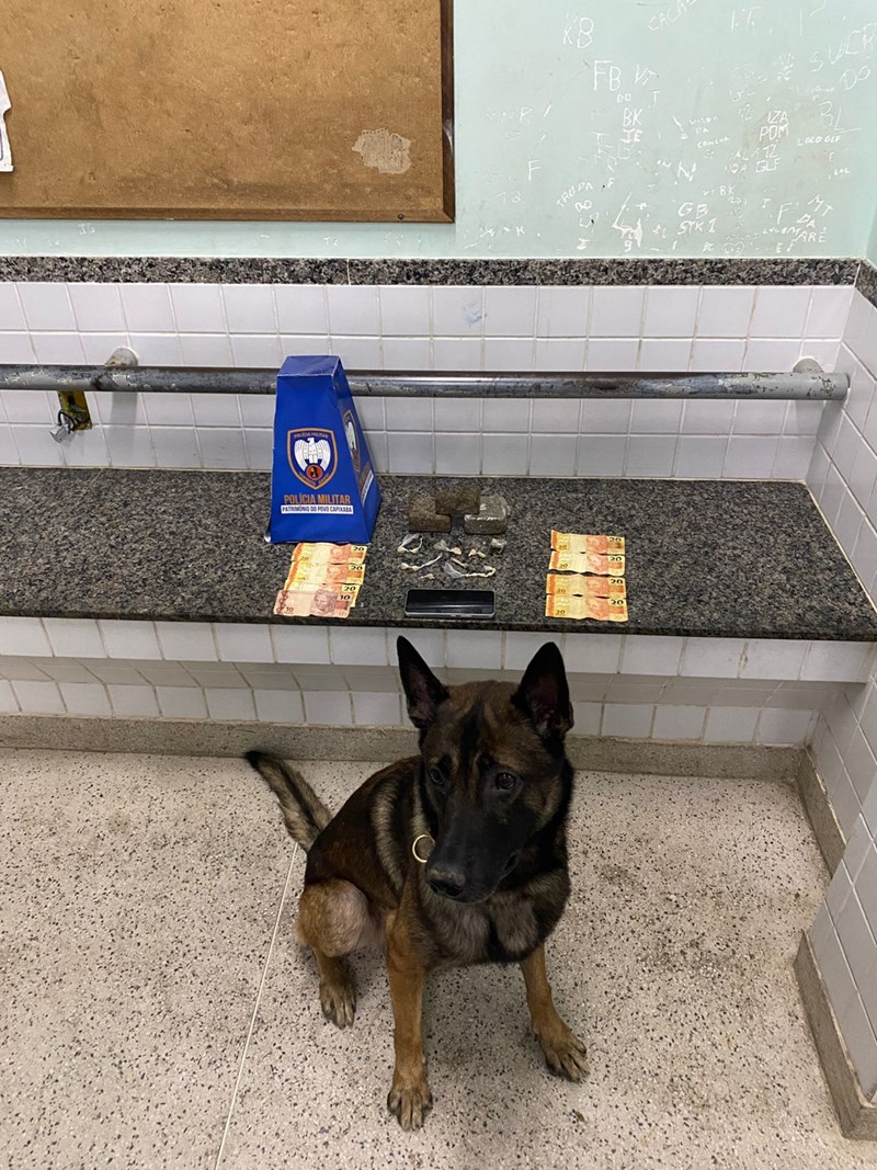 Foto: Reprodução/Polícia Militar - ES