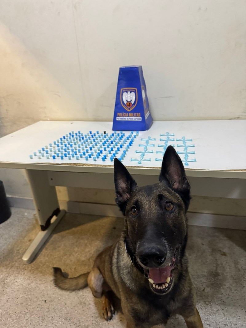 Foto: Reprodução/Polícia Militar - ES