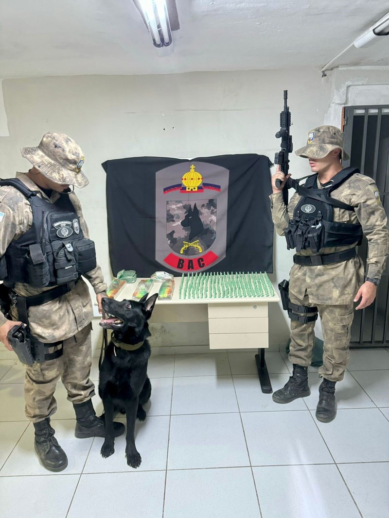 Foto: Reprodução/Polícia Militar - ES
