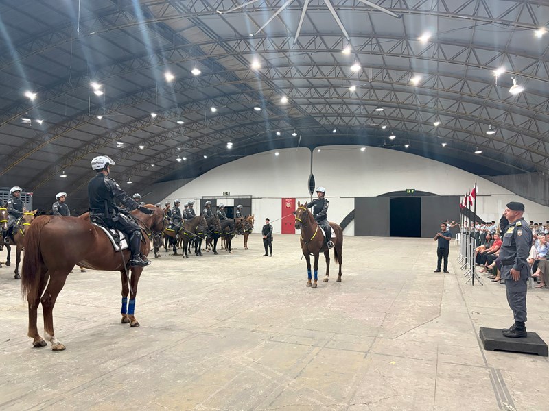 Foto: Reprodução/Polícia Militar - ES