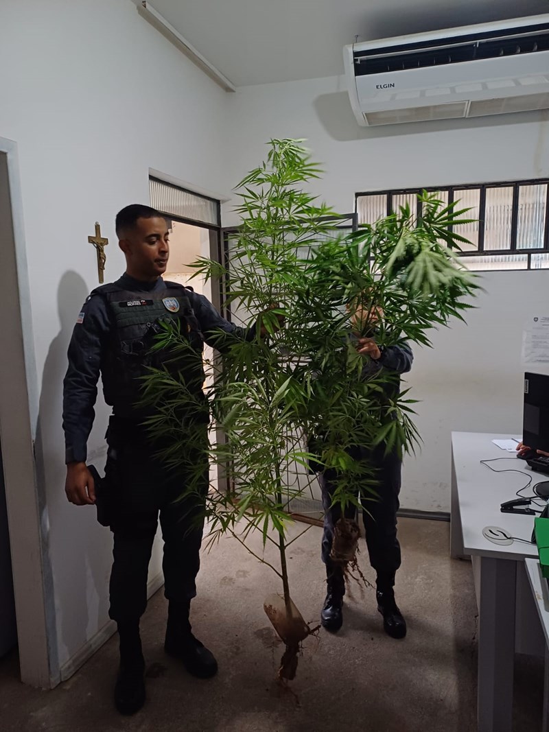 Foto: Reprodução/Polícia Militar - ES