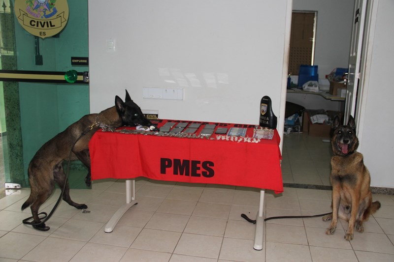 Foto: Reprodução/Polícia Militar - ES
