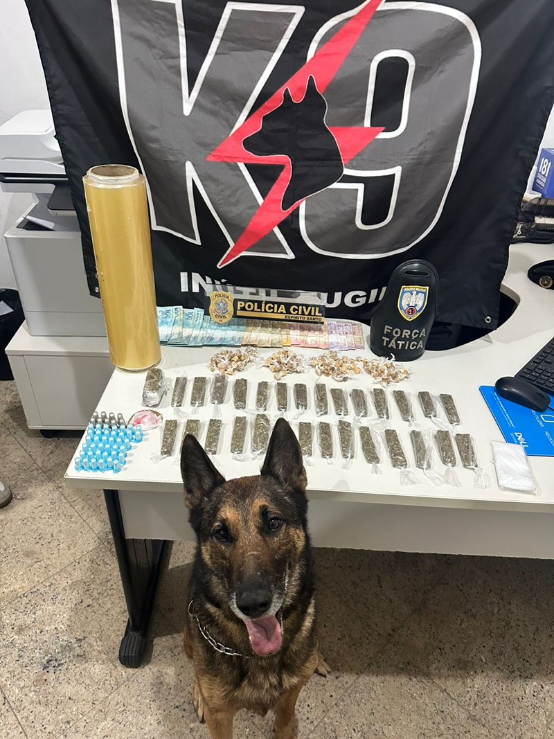 Foto: Reprodução/Polícia Militar - ES