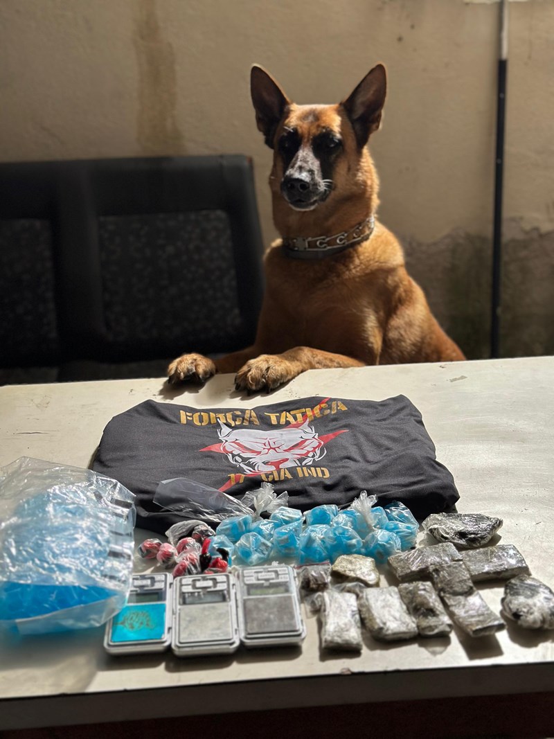 Foto: Reprodução/Polícia Militar - ES