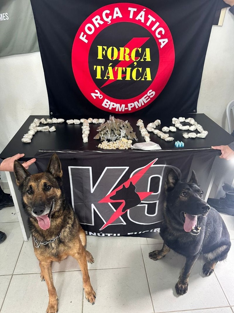 Foto: Reprodução/Polícia Militar - ES