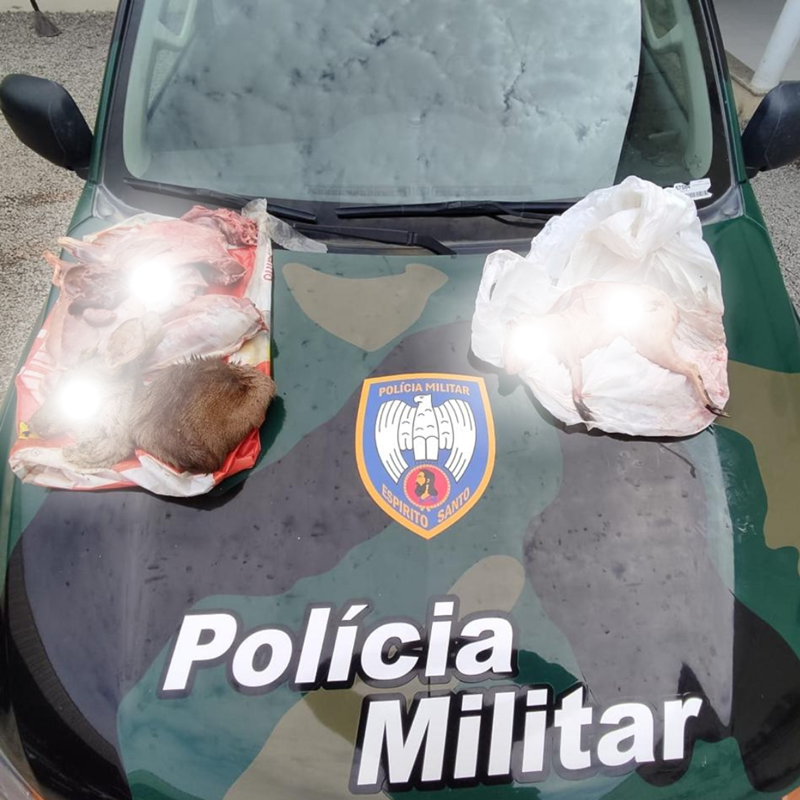 Foto: Reprodução/Polícia Militar - ES