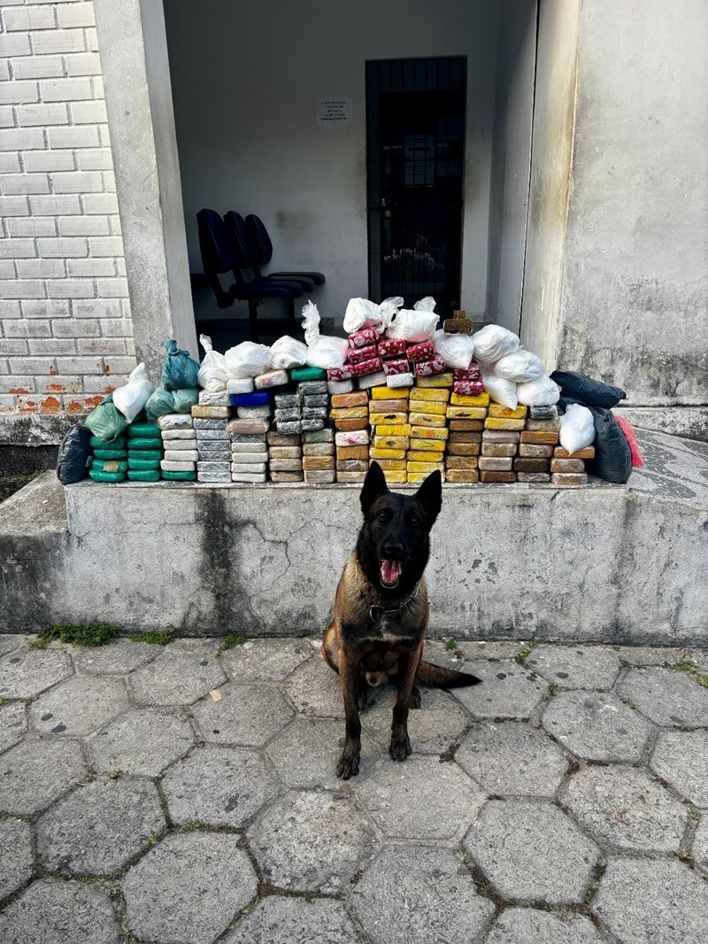 Foto: Reprodução/Polícia Militar - ES
