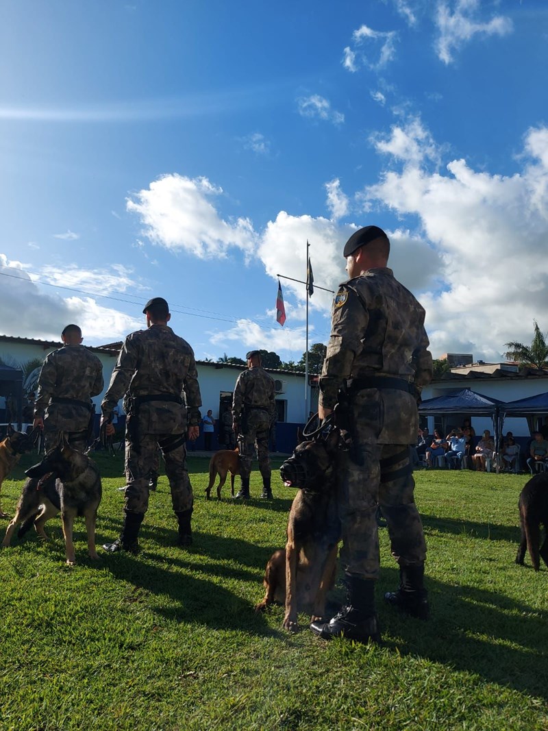 Foto: Reprodução/Polícia Militar - ES