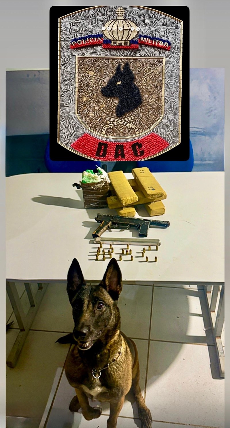 Foto: Reprodução/Polícia Militar - ES