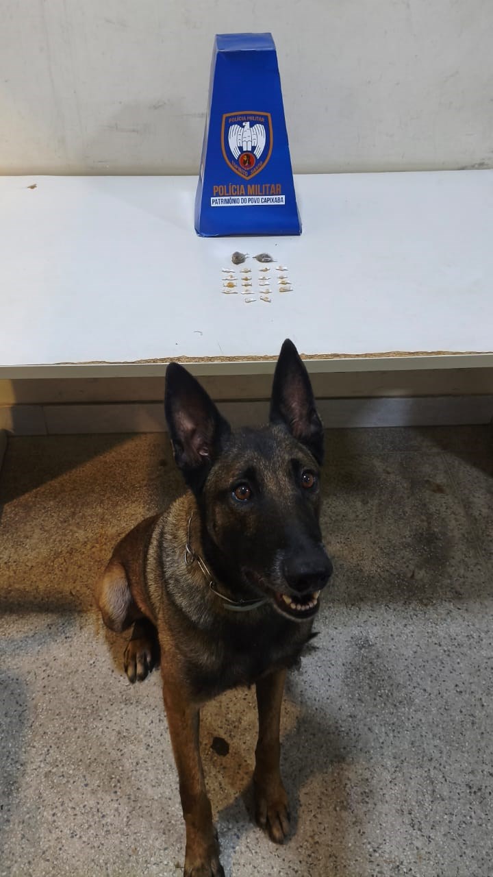 Foto: Reprodução/Polícia Militar - ES