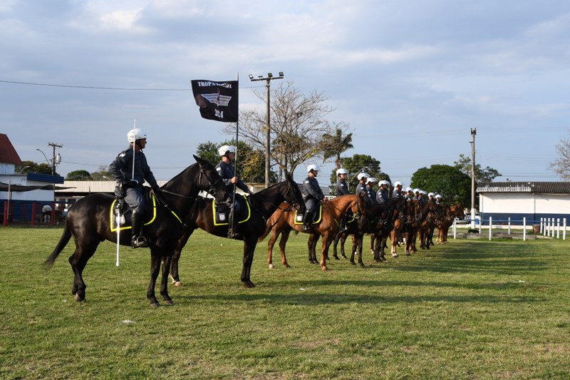 Foto: Reprodução/Polícia Militar - ES