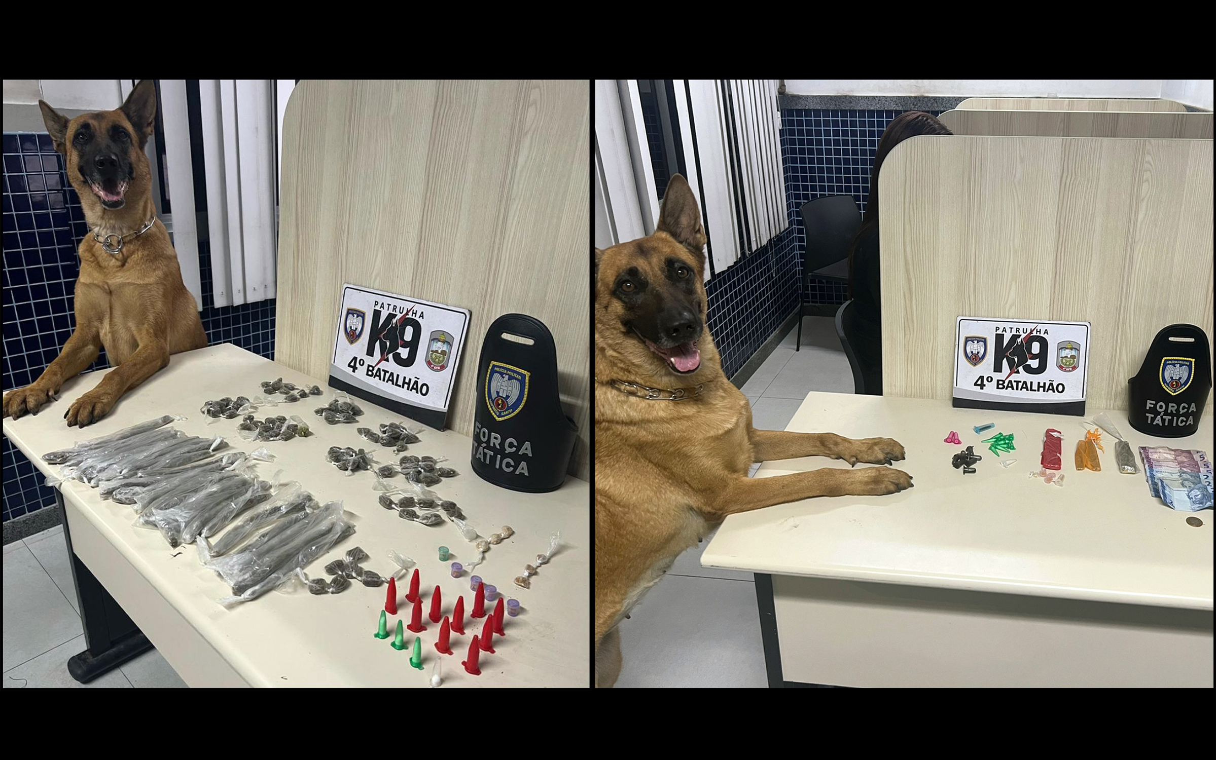 K9 do 4º Batalhão realiza duas apreensões de drogas em operações conjuntas com a Força Tática