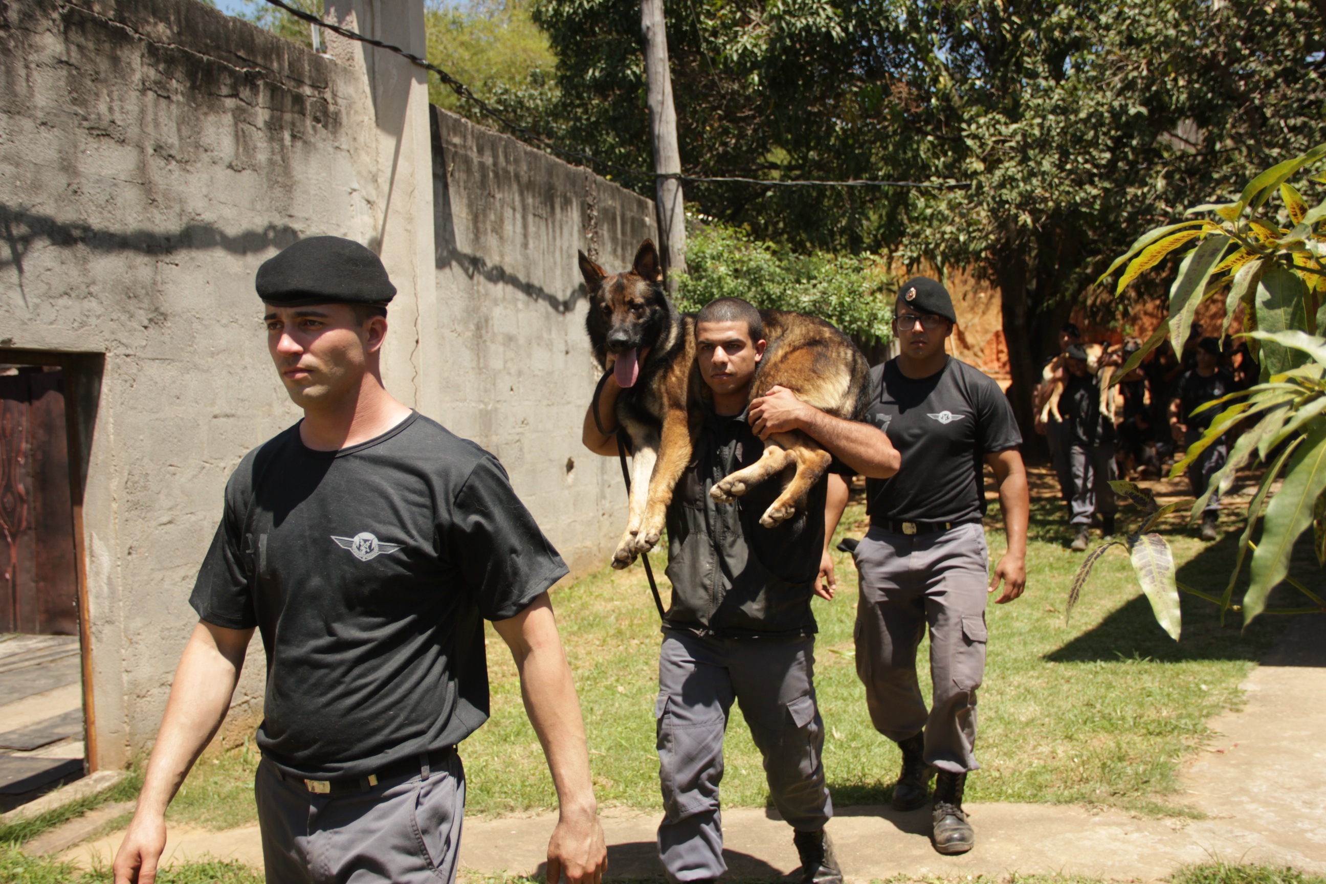 Instrução realizada pela Companhia Independente de Operações com Cães