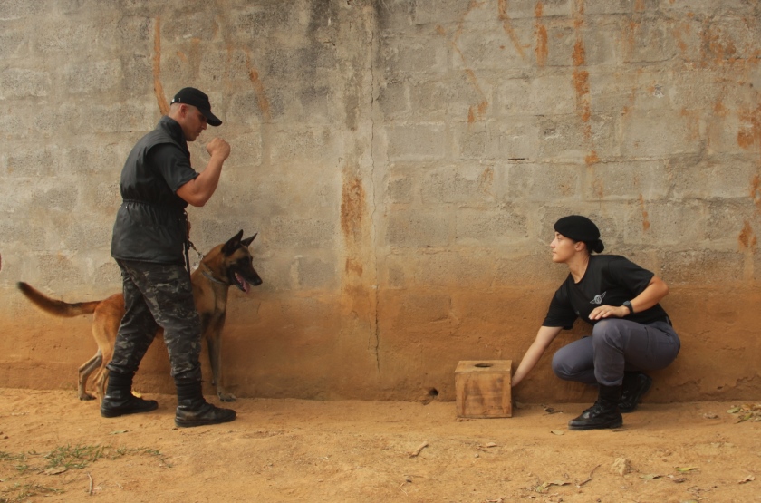 K9 (policial e cão) em treinamento