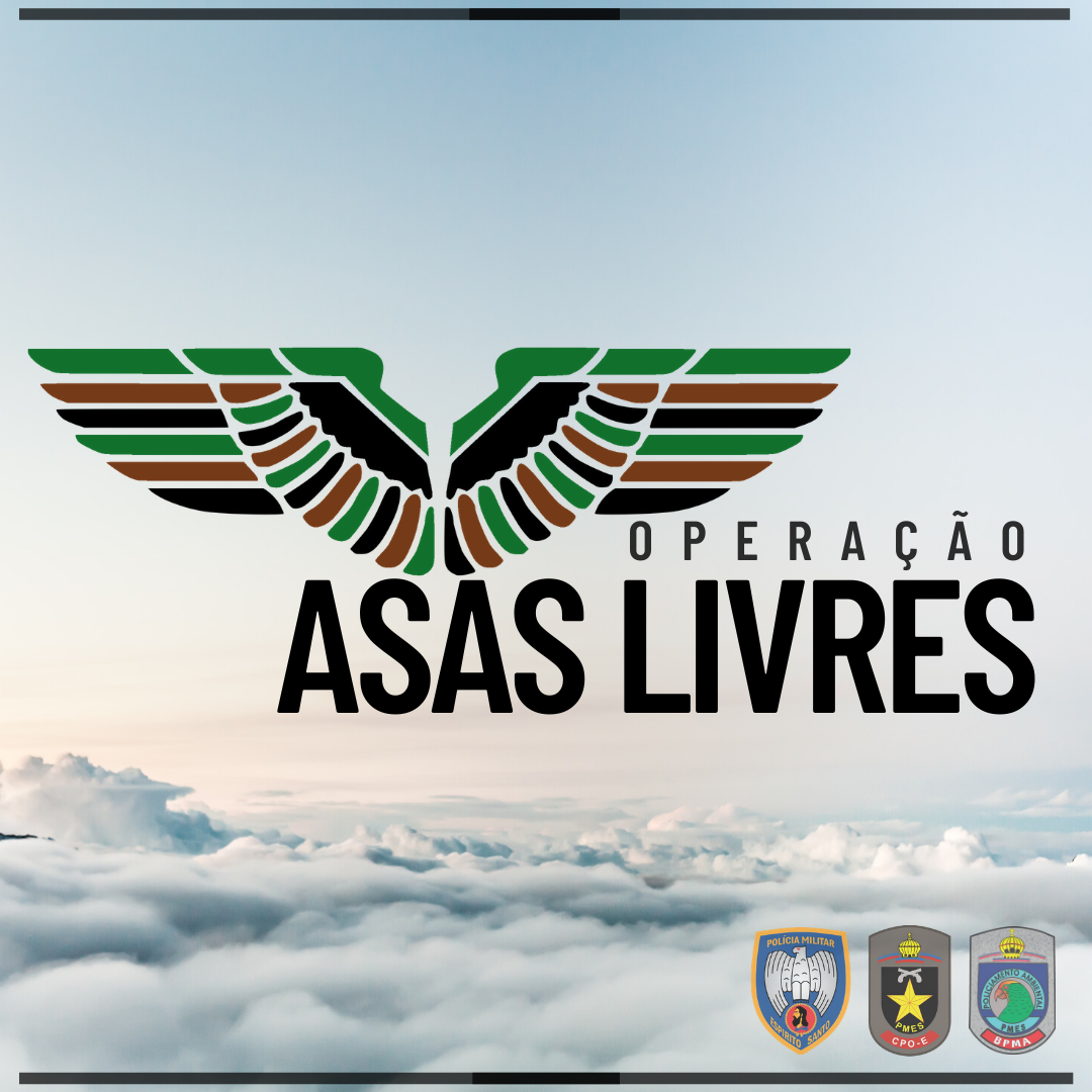 OPERAÇÃO ASAS LIVRES (3) (1)