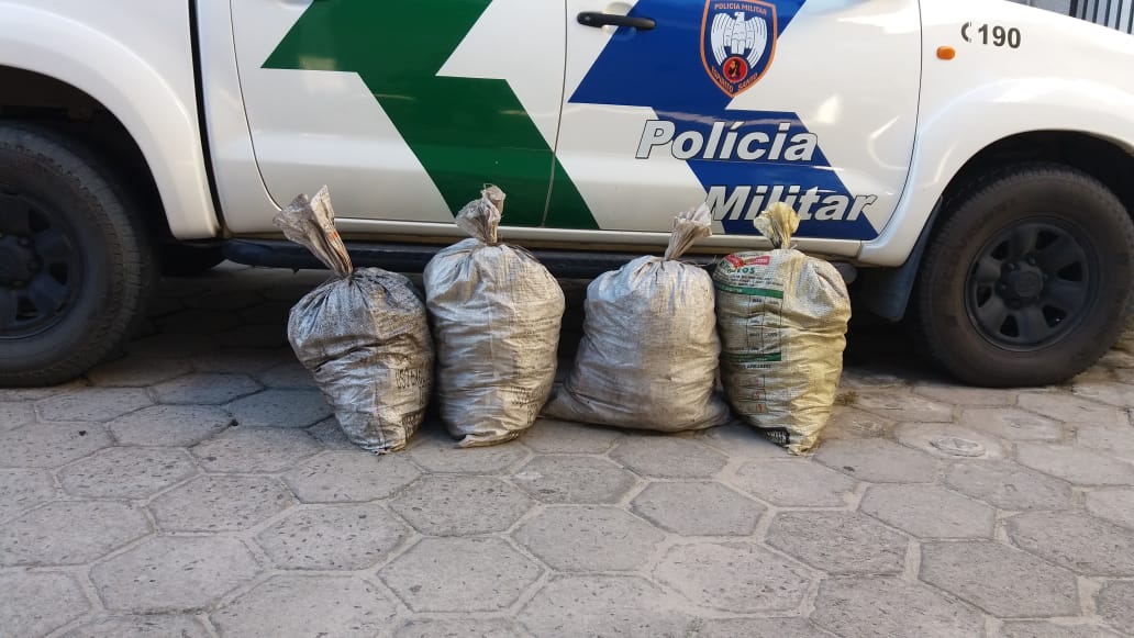 materia134mes042019-1